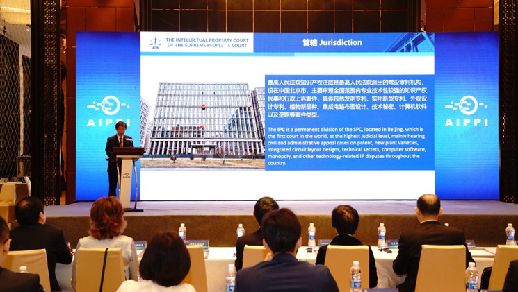 China's Progress in IPR Protection Pre...